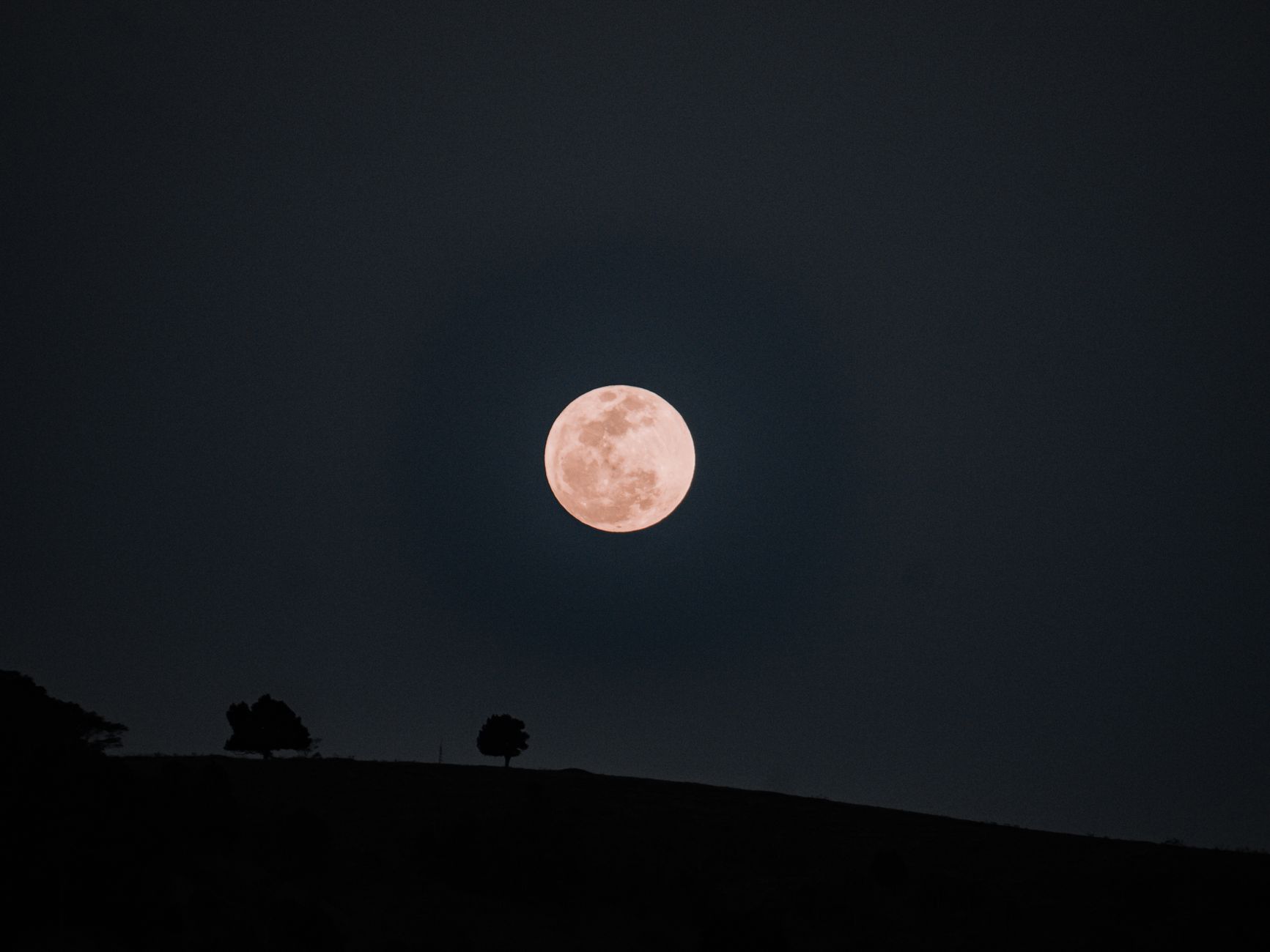 Full moon illuminating the night sky with silhouetted trees. Perfect for nature lovers.